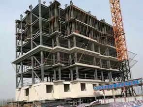 福建大型鋼結(jié)構(gòu)工程公司 卓越施工與建筑安裝工程的專(zhuān)業(yè)力量